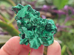 Natural Silky Malachite Specimens x 12 From Kasompe, Congo