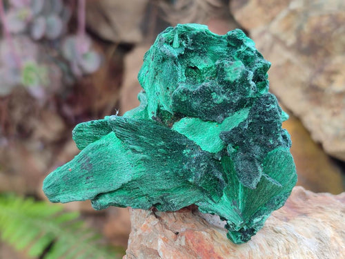 Natural Silky Malachite Specimens x 12 From Kasompe, Congo