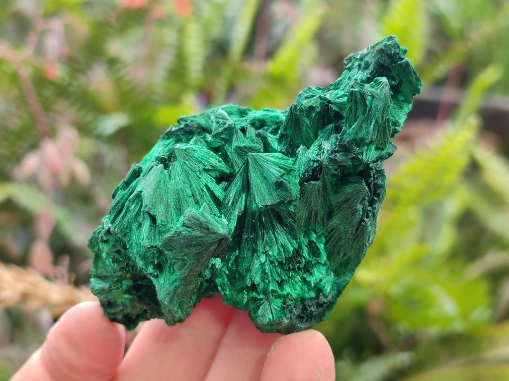 Natural Silky Malachite Specimens x 12 From Kasompe, Congo