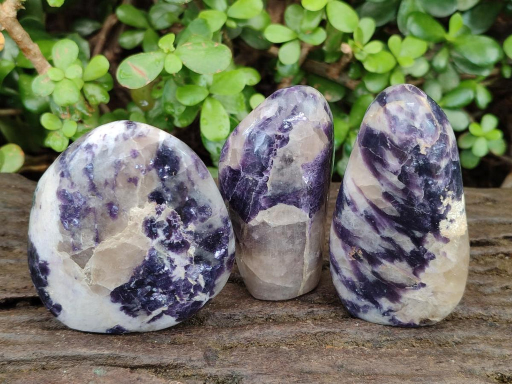 Polished Lepidolite Standing Display Pieces x 6 From Zimbabwe
