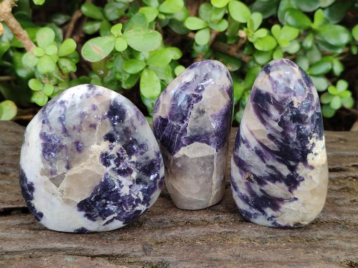 Polished Lepidolite Standing Display Pieces x 6 From Zimbabwe