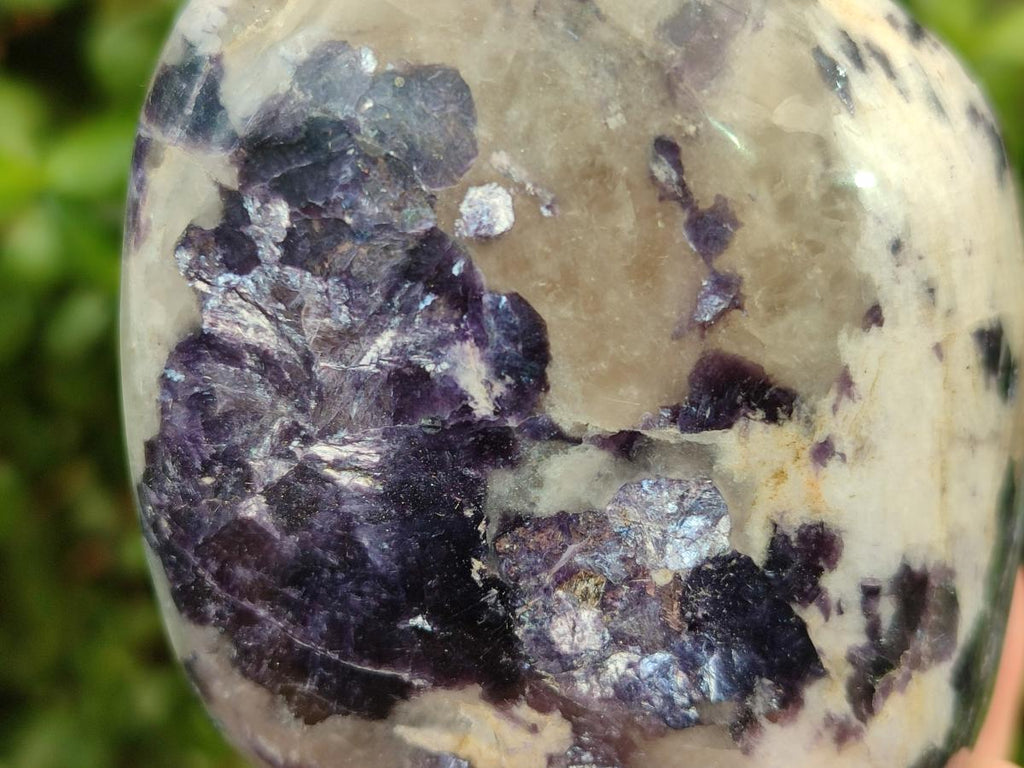 Polished Lepidolite Standing Display Pieces x 6 From Zimbabwe