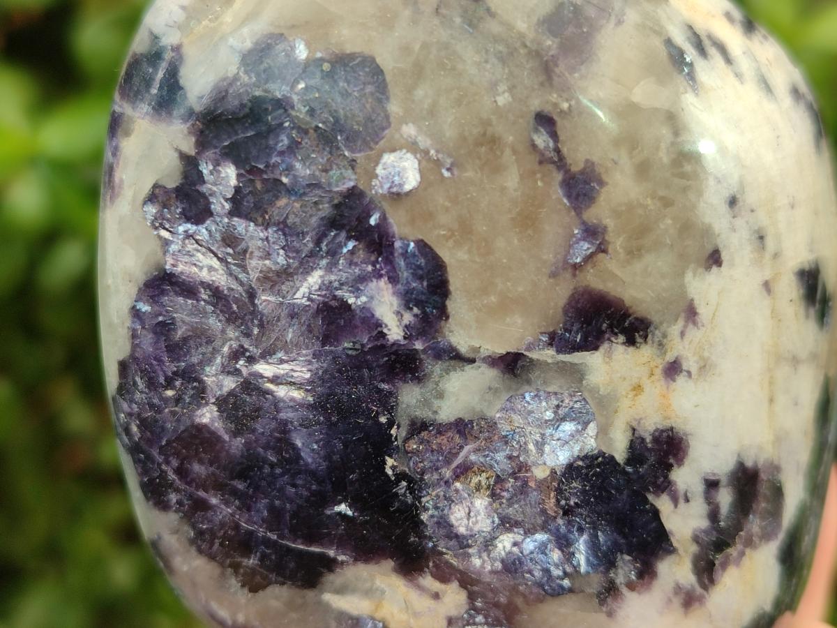 Polished Lepidolite Standing Display Pieces x 6 From Zimbabwe