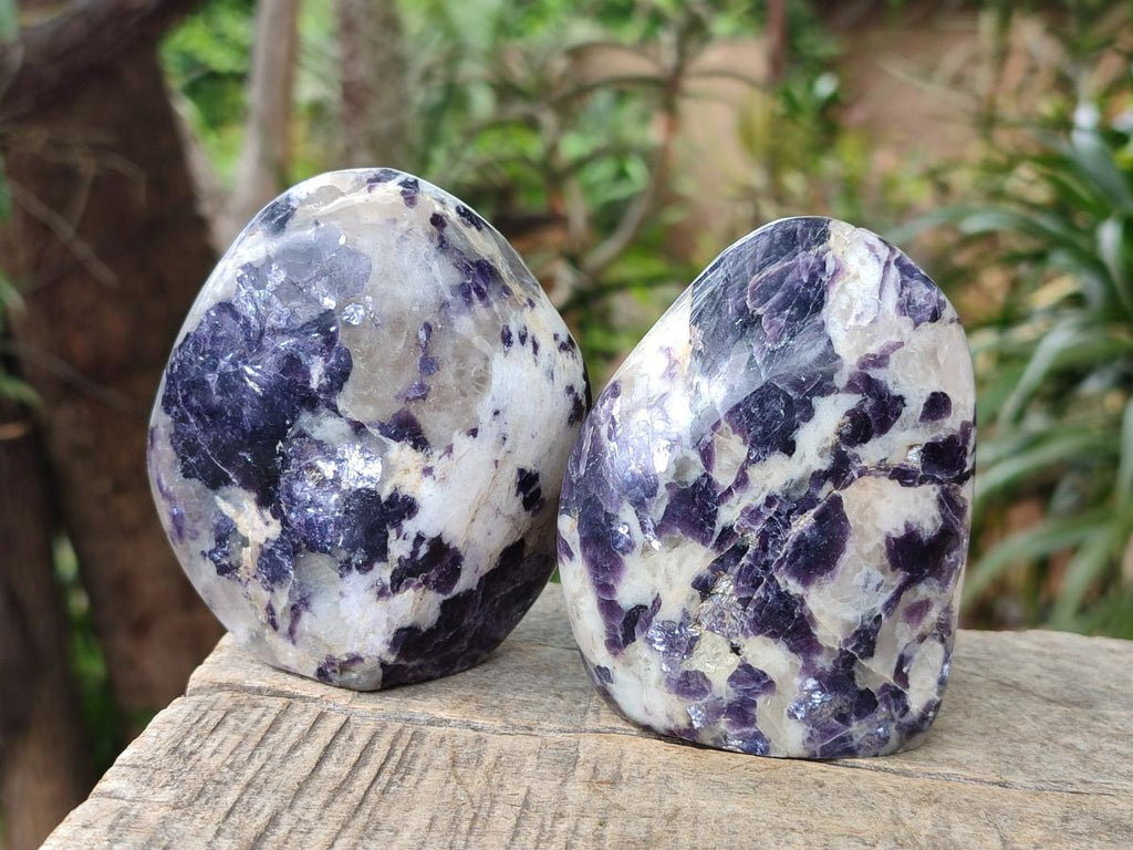 Polished Lepidolite Standing Display Pieces x 6 From Zimbabwe