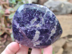 Polished Lepidolite Standing Display Pieces x 6 From Zimbabwe
