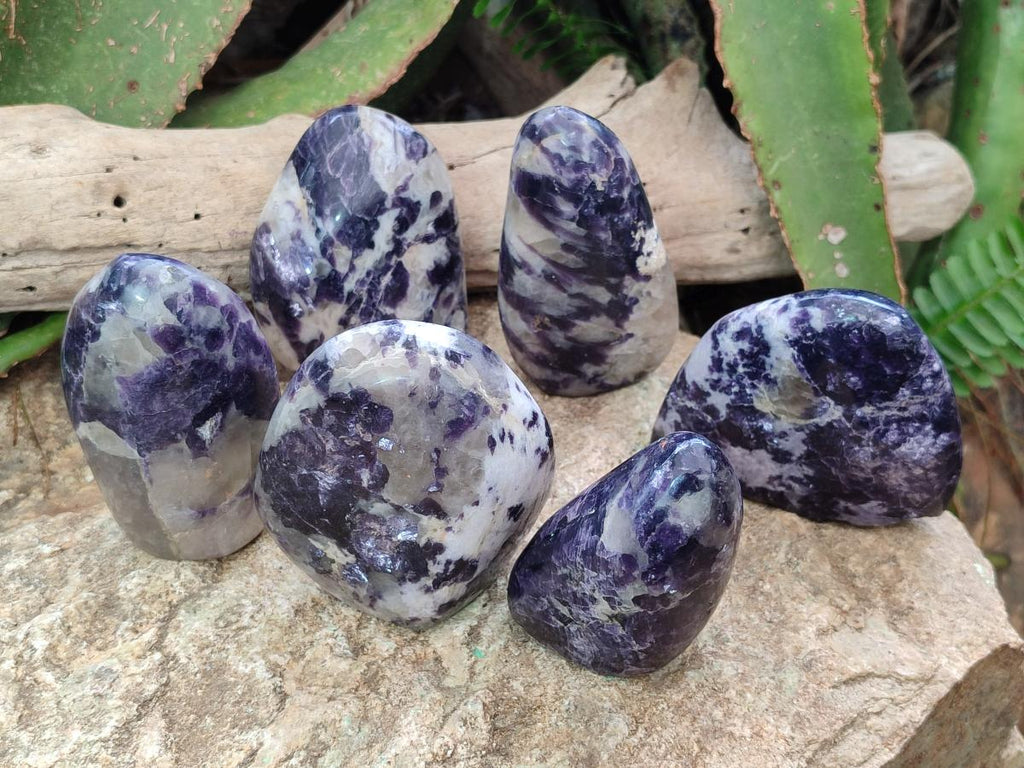 Polished Lepidolite Standing Display Pieces x 6 From Zimbabwe