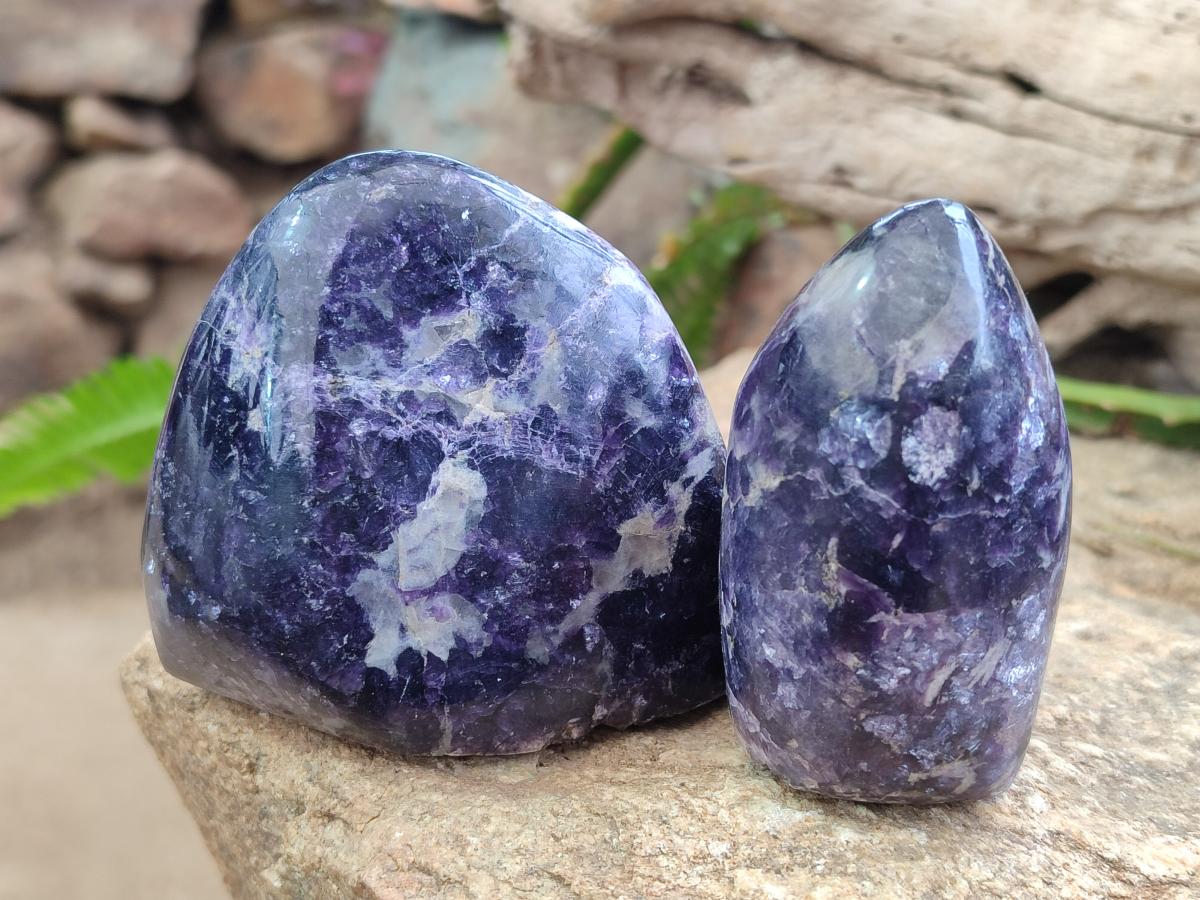 Polished Lepidolite Standing Display Pieces x 6 From Zimbabwe