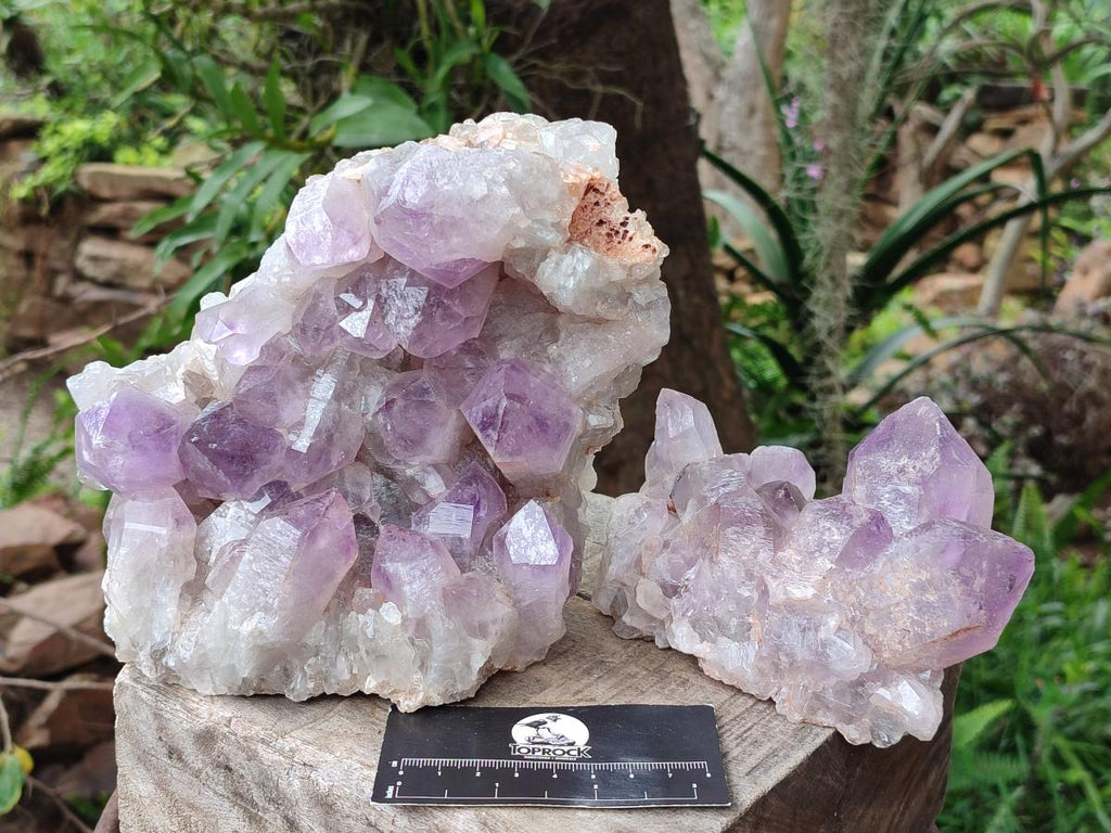 Natural Jacaranda Amethyst Crystal Clusters x 2 From Mumbwa, Zambia