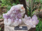 Natural Jacaranda Amethyst Crystal Clusters x 2 From Mumbwa, Zambia