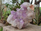 Natural Jacaranda Amethyst Crystal Clusters x 2 From Mumbwa, Zambia