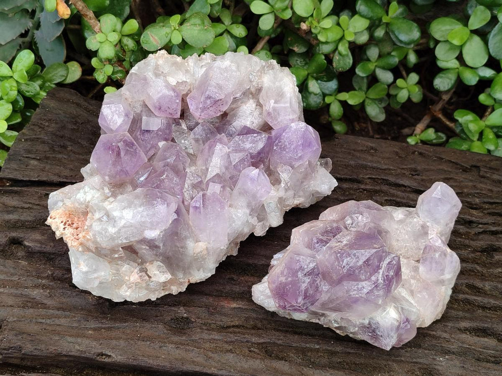 Natural Jacaranda Amethyst Crystal Clusters x 2 From Mumbwa, Zambia