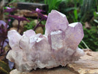 Natural Jacaranda Amethyst Crystal Clusters x 2 From Mumbwa, Zambia