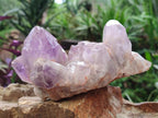 Natural Jacaranda Amethyst Crystal Clusters x 2 From Mumbwa, Zambia