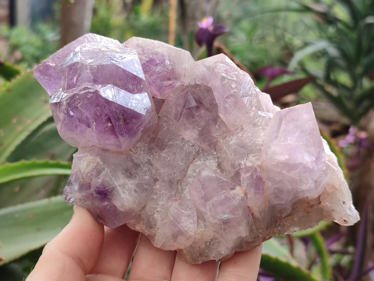 Natural Jacaranda Amethyst Crystal Clusters x 2 From Mumbwa, Zambia