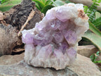Natural Jacaranda Amethyst Crystal Clusters x 2 From Mumbwa, Zambia
