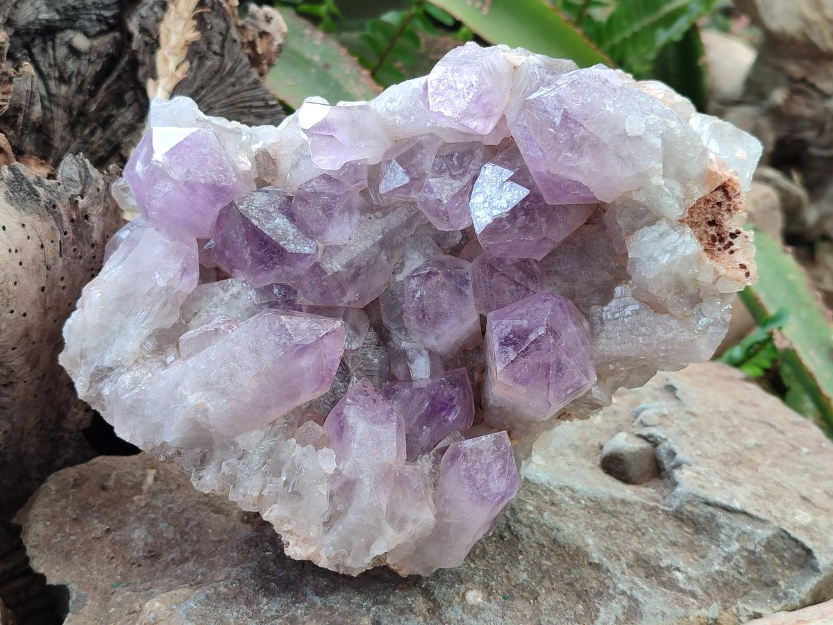 Natural Jacaranda Amethyst Crystal Clusters x 2 From Mumbwa, Zambia