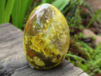 Polished Green Opal Standing Display Pieces x 2 From Betroka, Madagascar