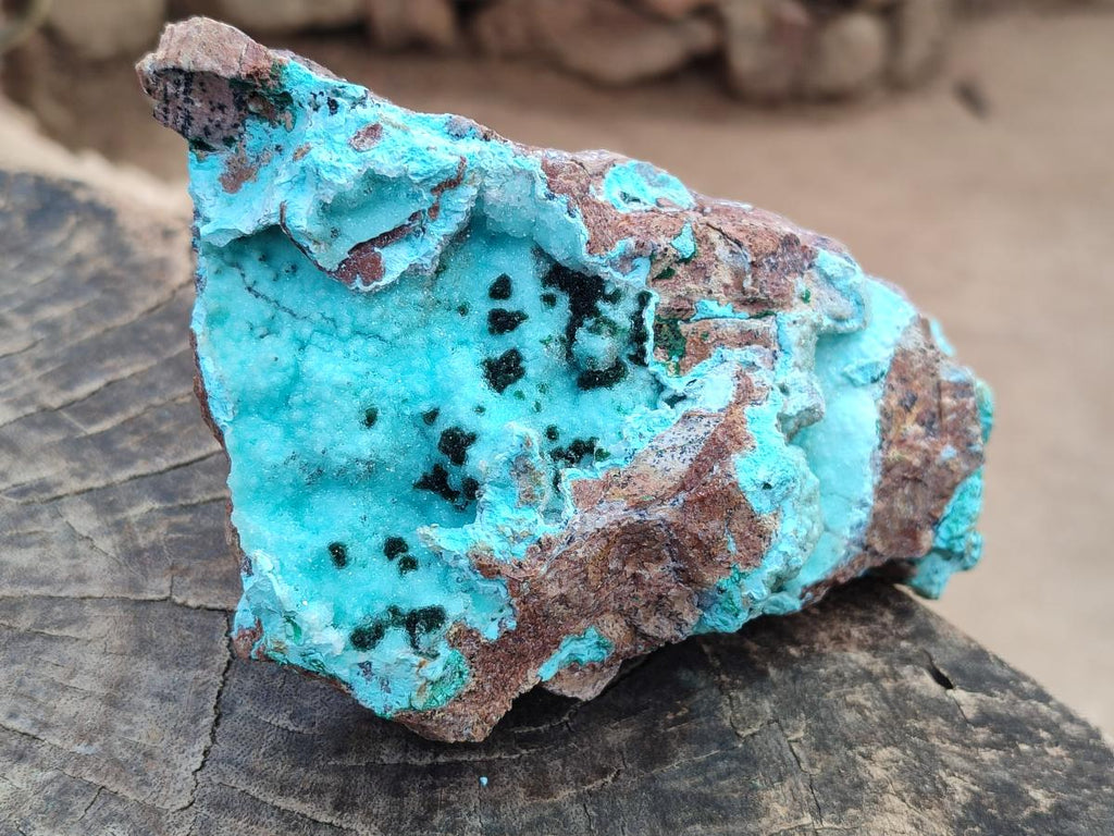Natural Drusy Chrysocolla Specimens with Acicular Malachite on Dolomite x 2 From Lupoto Mine, Congo