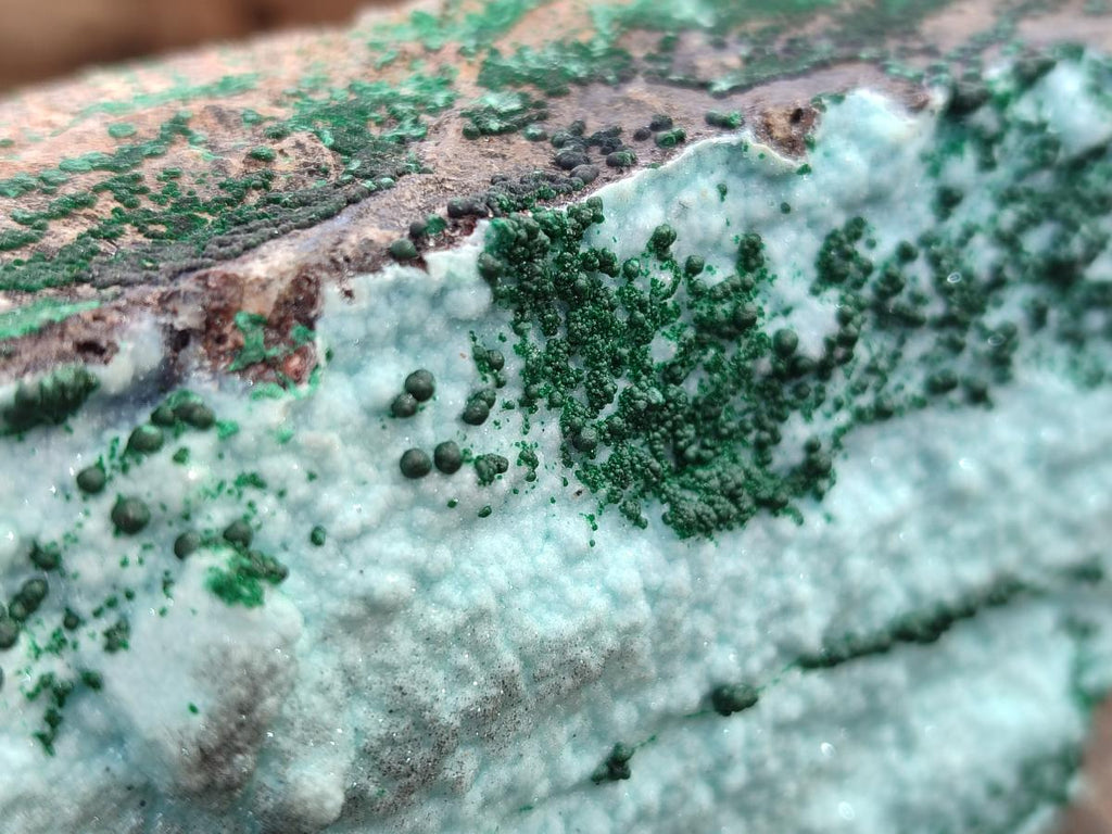 Natural Drusy Chrysocolla Specimens with Acicular Malachite on Dolomite x 2 From Lupoto Mine, Congo