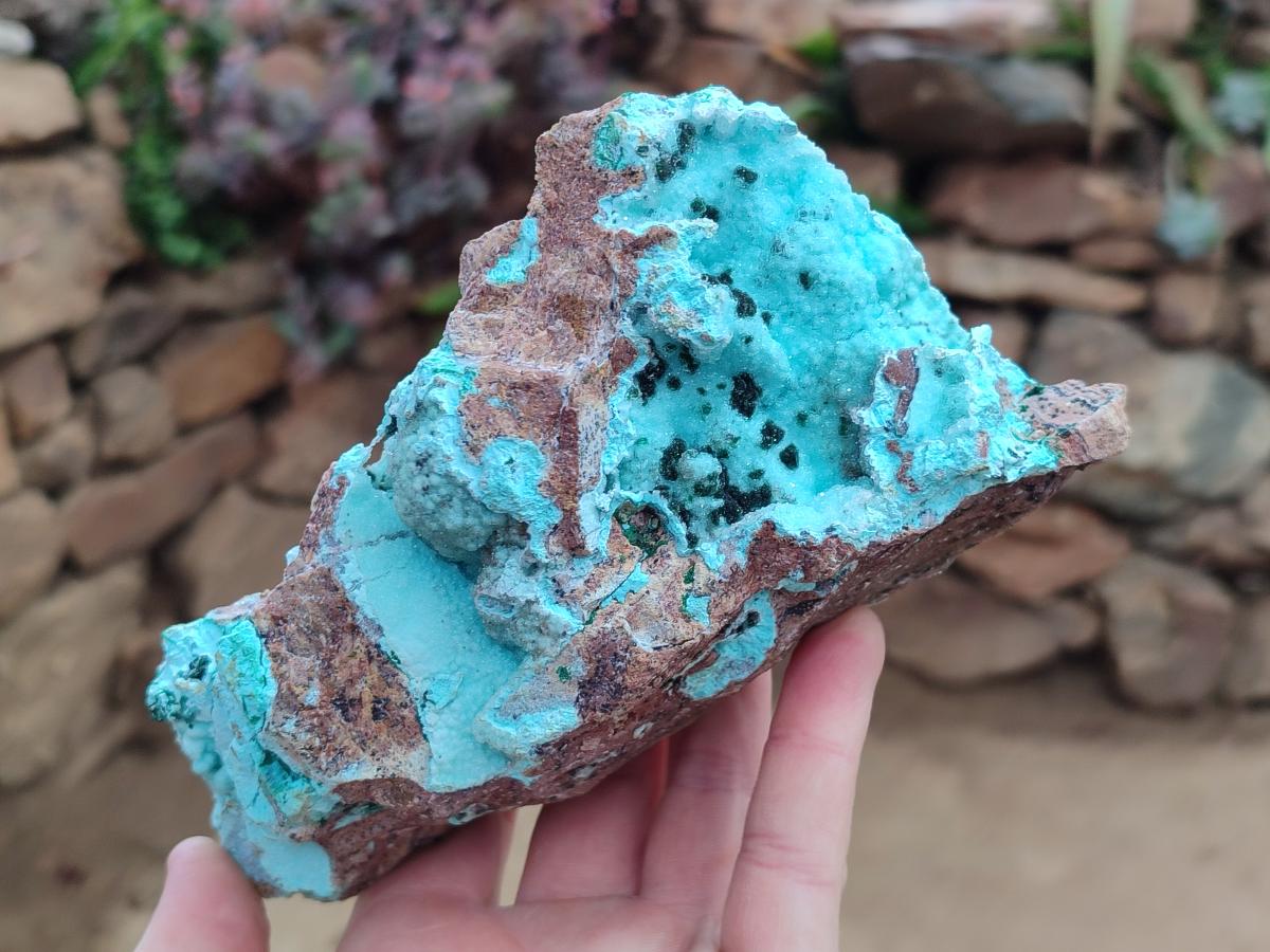 Natural Drusy Chrysocolla Specimens with Acicular Malachite on Dolomite x 2 From Lupoto Mine, Congo