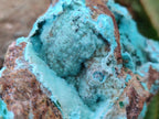 Natural Drusy Chrysocolla Specimens with Acicular Malachite on Dolomite x 2 From Lupoto Mine, Congo