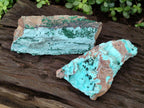 Natural Drusy Chrysocolla Specimens with Acicular Malachite on Dolomite x 2 From Lupoto Mine, Congo