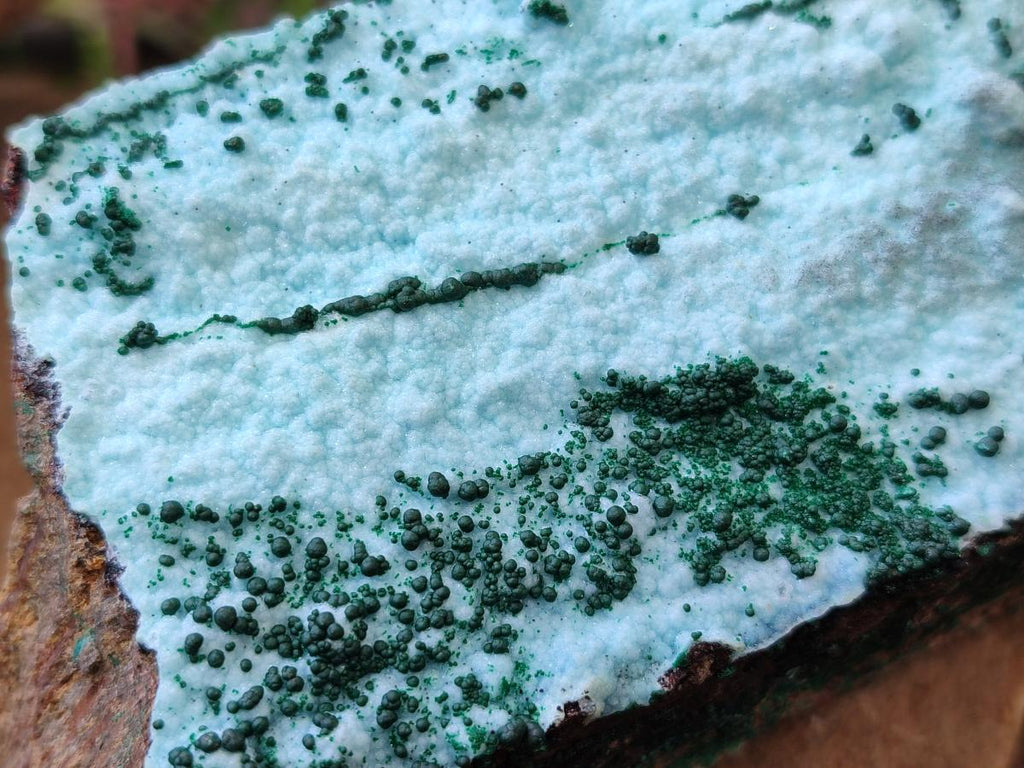 Natural Drusy Chrysocolla Specimens with Acicular Malachite on Dolomite x 2 From Lupoto Mine, Congo