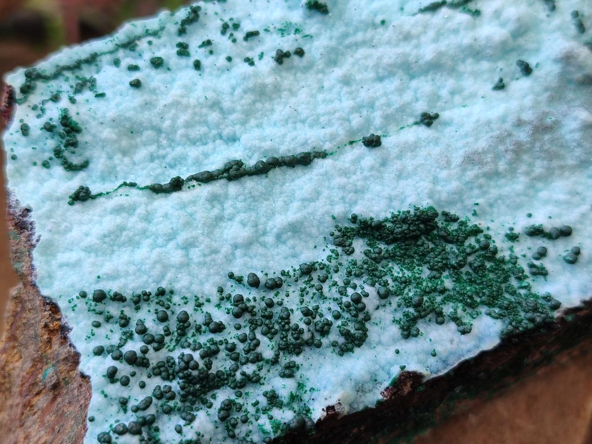 Natural Drusy Chrysocolla Specimens with Acicular Malachite on Dolomite x 2 From Lupoto Mine, Congo