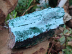 Natural Drusy Chrysocolla Specimens with Acicular Malachite on Dolomite x 2 From Lupoto Mine, Congo
