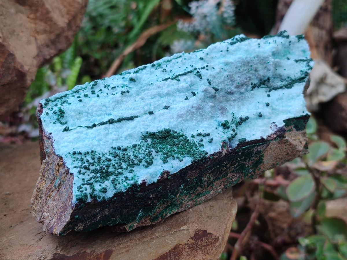 Natural Drusy Chrysocolla Specimens with Acicular Malachite on Dolomite x 2 From Lupoto Mine, Congo