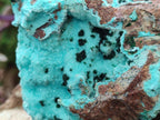 Natural Drusy Chrysocolla Specimens with Acicular Malachite on Dolomite x 2 From Lupoto Mine, Congo