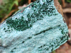 Natural Drusy Chrysocolla Specimens with Acicular Malachite on Dolomite x 2 From Lupoto Mine, Congo
