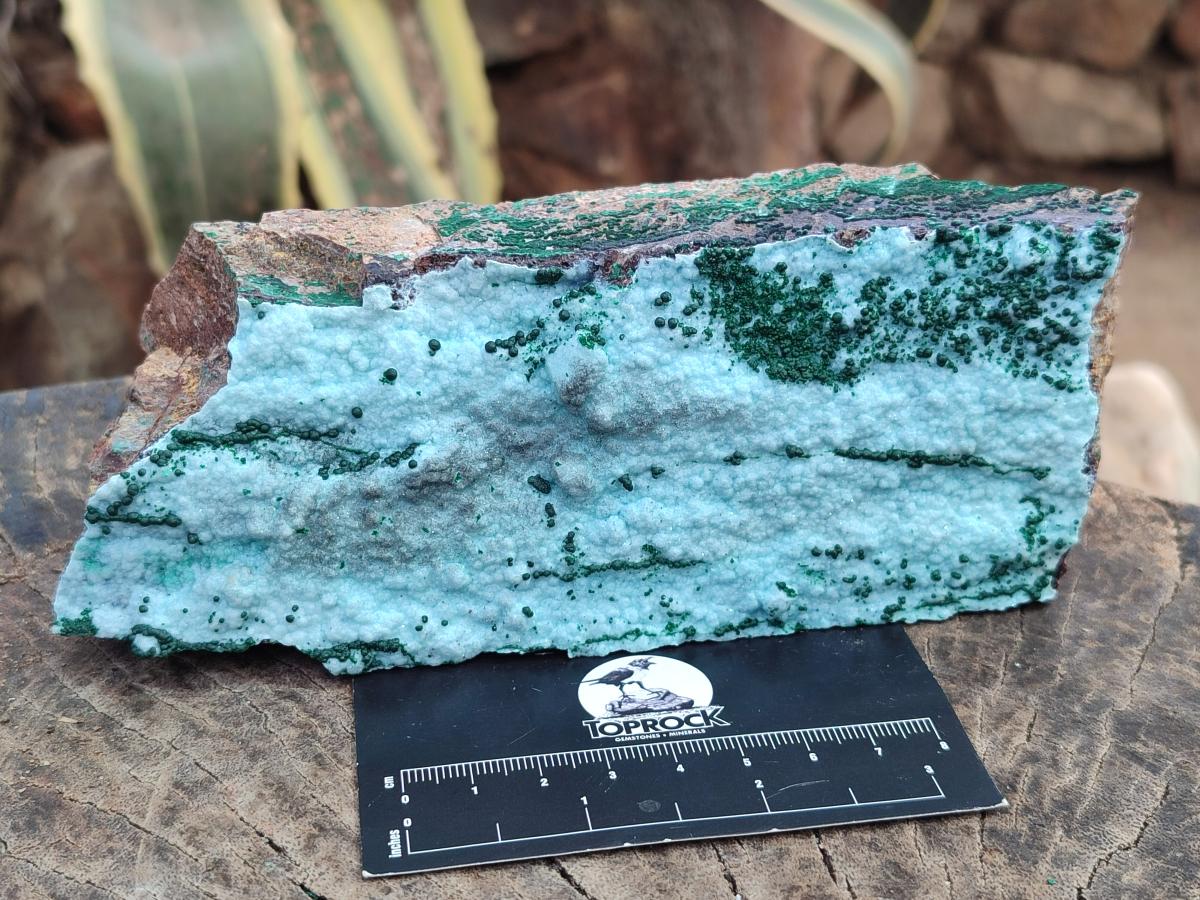 Natural Drusy Chrysocolla Specimens with Acicular Malachite on Dolomite x 2 From Lupoto Mine, Congo