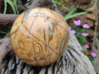Polished XL Picture Stone Jasper Sphere x 1 From Ais-Ais, Namibia - Toprock Gemstones and Minerals 