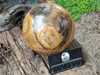 Polished XL Picture Stone Jasper Sphere x 1 From Ais-Ais, Namibia - Toprock Gemstones and Minerals 