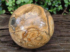 Polished XL Picture Stone Jasper Sphere x 1 From Ais-Ais, Namibia - Toprock Gemstones and Minerals 