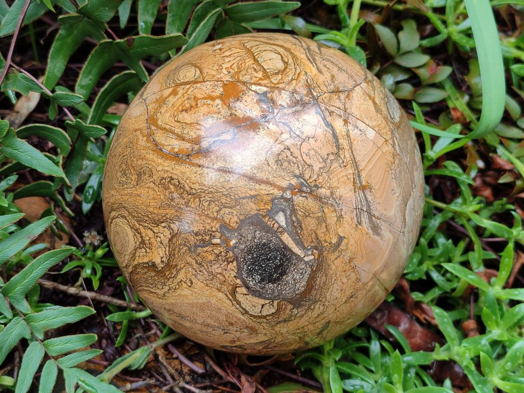 Polished XL Picture Stone Jasper Sphere x 1 From Ais-Ais, Namibia - Toprock Gemstones and Minerals 