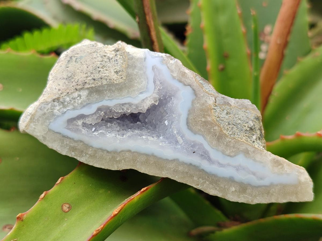 Polished One Side Blue Lace Agate Geodes x 12 From Nsanje, Malawi