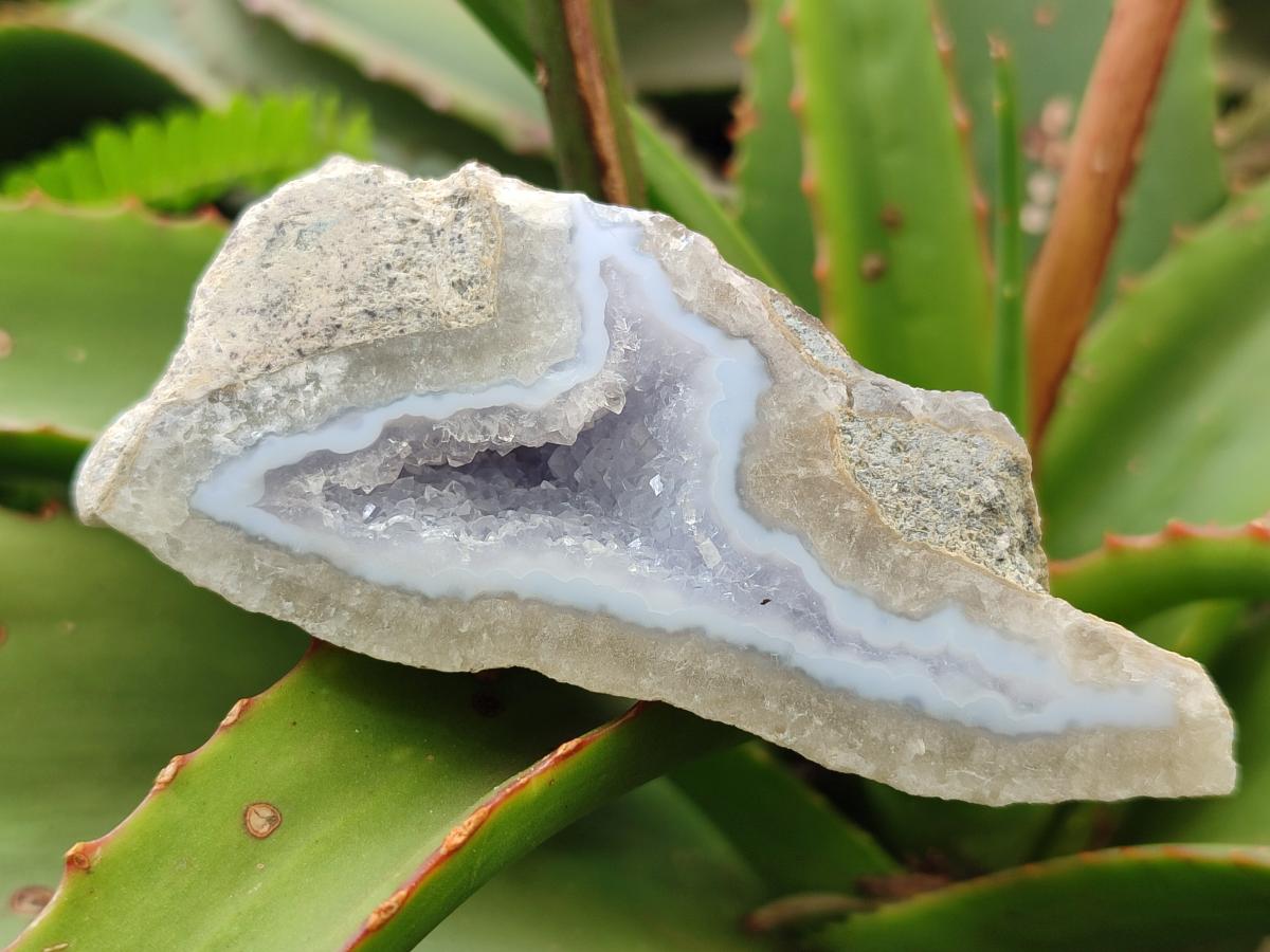 Polished One Side Blue Lace Agate Geodes x 12 From Nsanje, Malawi