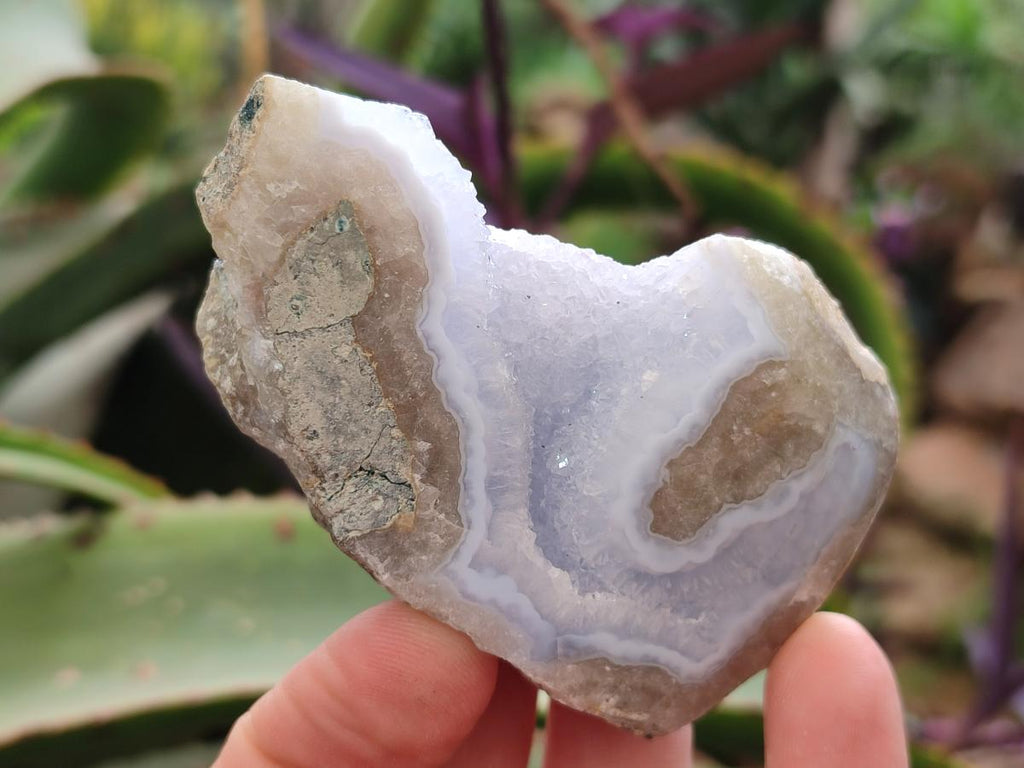 Polished One Side Blue Lace Agate Geodes x 12 From Nsanje, Malawi
