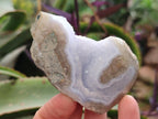 Polished One Side Blue Lace Agate Geodes x 12 From Nsanje, Malawi