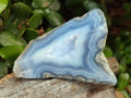 Polished One Side Blue Lace Agate Geodes x 12 From Nsanje, Malawi