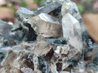 Natural Smokey Quartz Custers with Inclusions x 2 From Erongo, Namibia