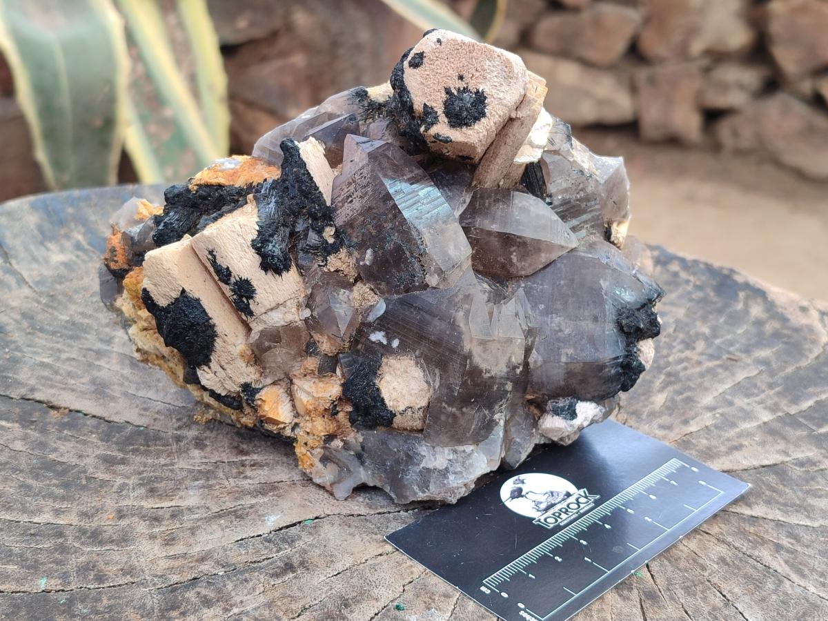 Natural Smokey Quartz Custers with Inclusions x 2 From Erongo, Namibia