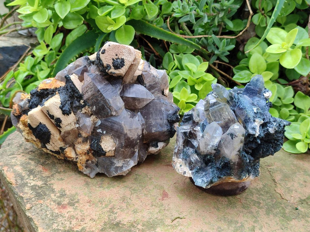 Natural Smokey Quartz Custers with Inclusions x 2 From Erongo, Namibia