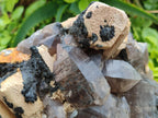Natural Smokey Quartz Custers with Inclusions x 2 From Erongo, Namibia
