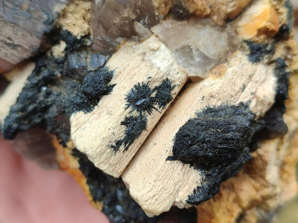Natural Smokey Quartz Custers with Inclusions x 2 From Erongo, Namibia