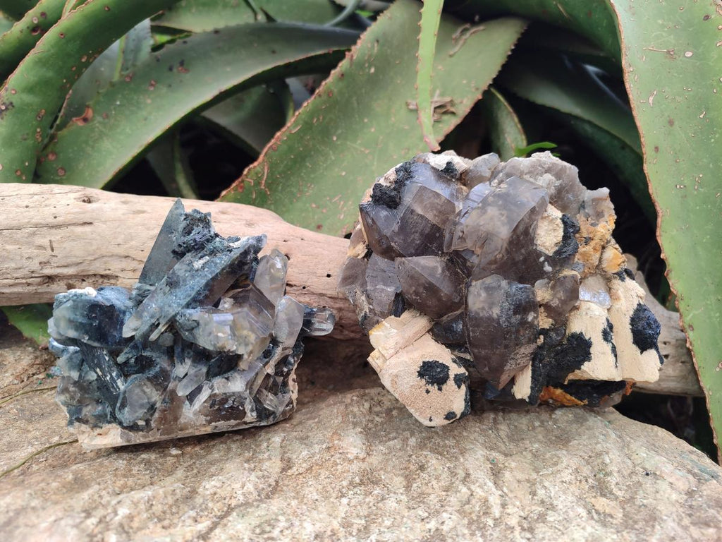 Natural Smokey Quartz Custers with Inclusions x 2 From Erongo, Namibia