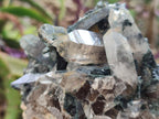 Natural Smokey Quartz Custers with Inclusions x 2 From Erongo, Namibia