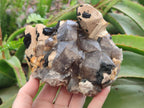 Natural Smokey Quartz Custers with Inclusions x 2 From Erongo, Namibia